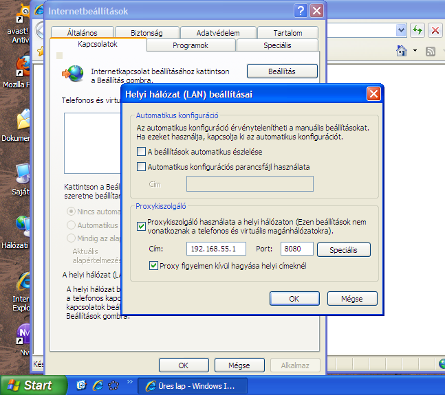 ie1
